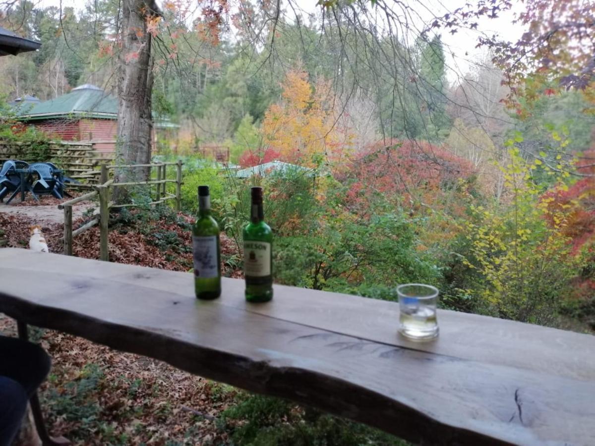 Willa Maple Grove Hogsback Zewnętrze zdjęcie