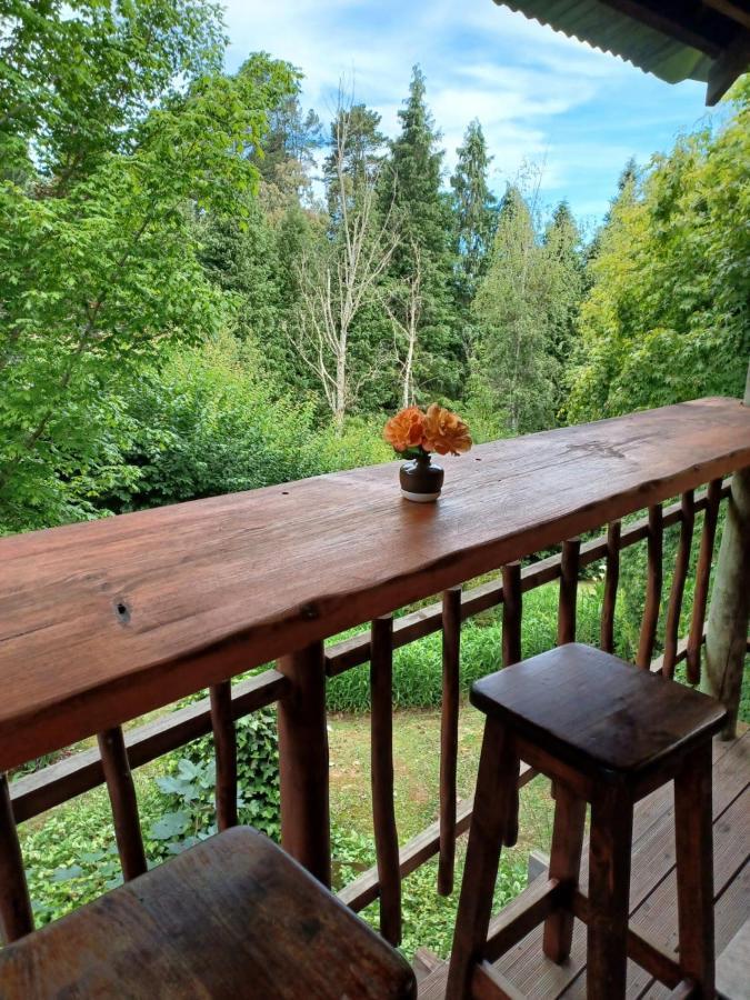Willa Maple Grove Hogsback Zewnętrze zdjęcie