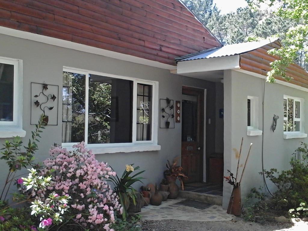 Willa Maple Grove Hogsback Zewnętrze zdjęcie