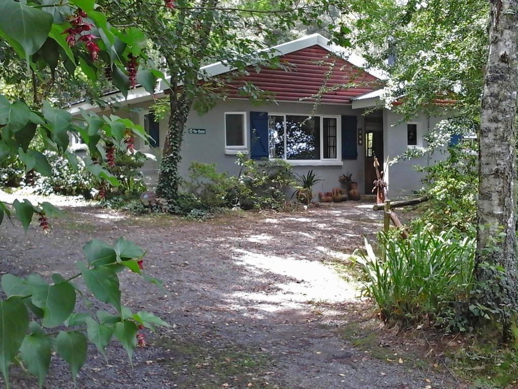 Willa Maple Grove Hogsback Zewnętrze zdjęcie