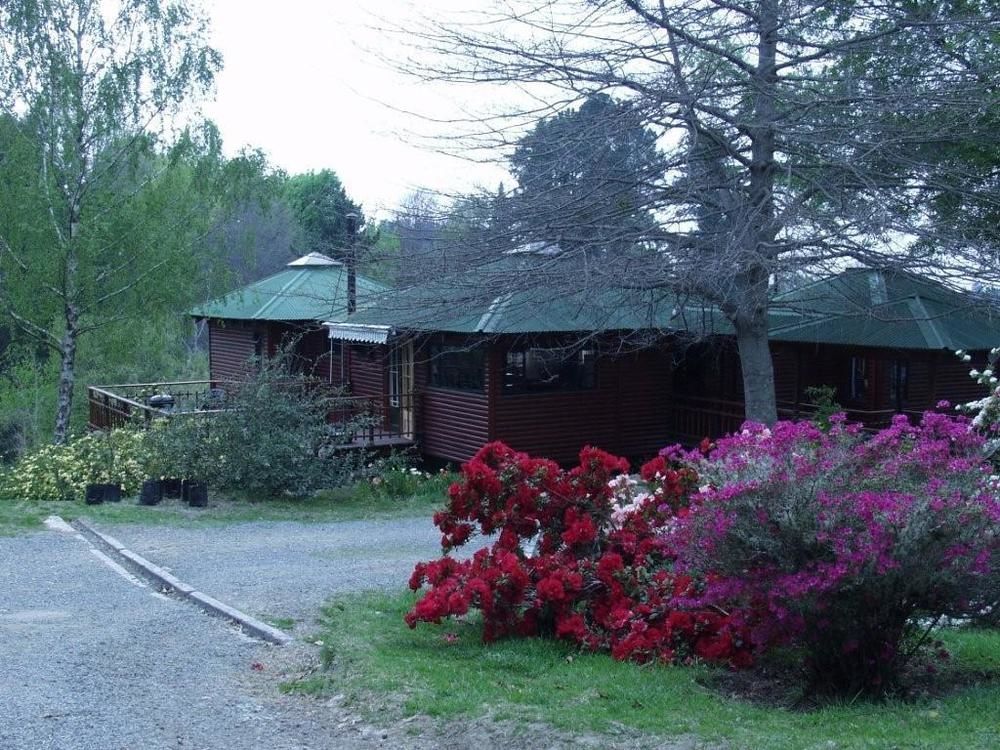 Willa Maple Grove Hogsback Zewnętrze zdjęcie