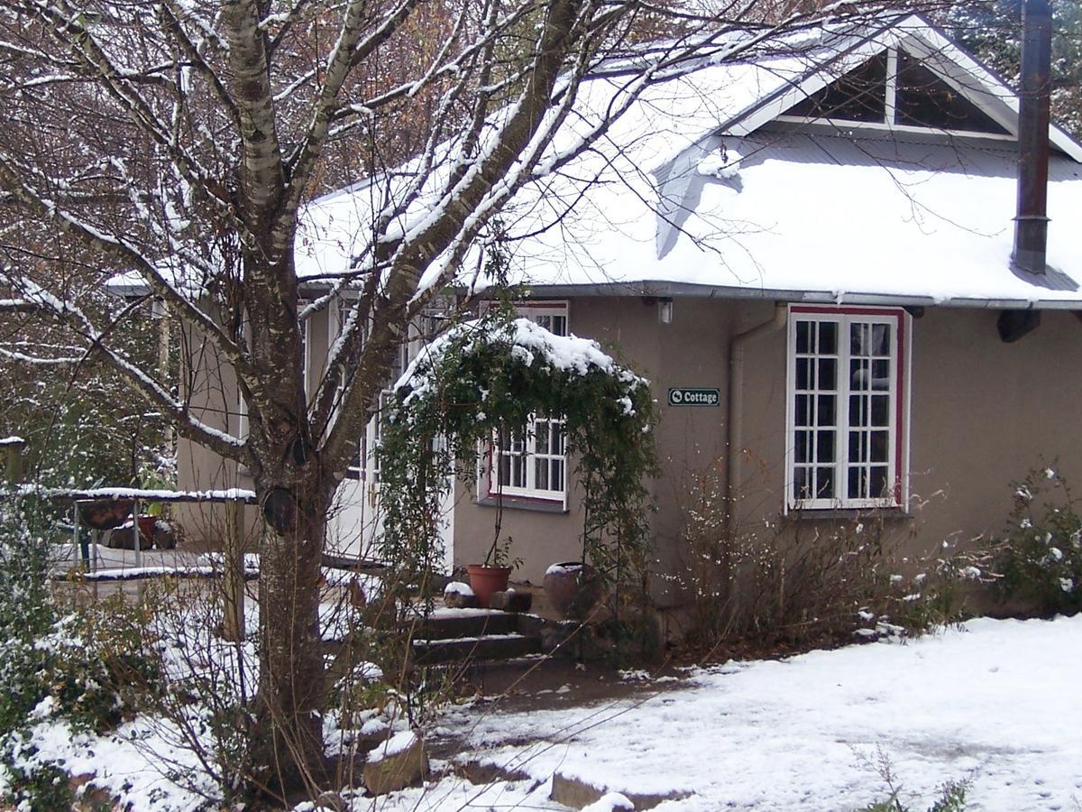 Willa Maple Grove Hogsback Zewnętrze zdjęcie