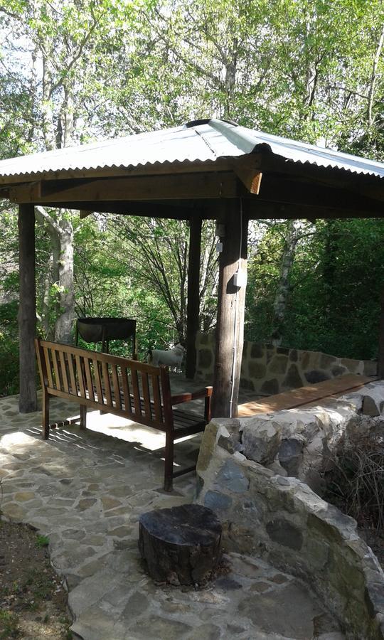 Willa Maple Grove Hogsback Zewnętrze zdjęcie