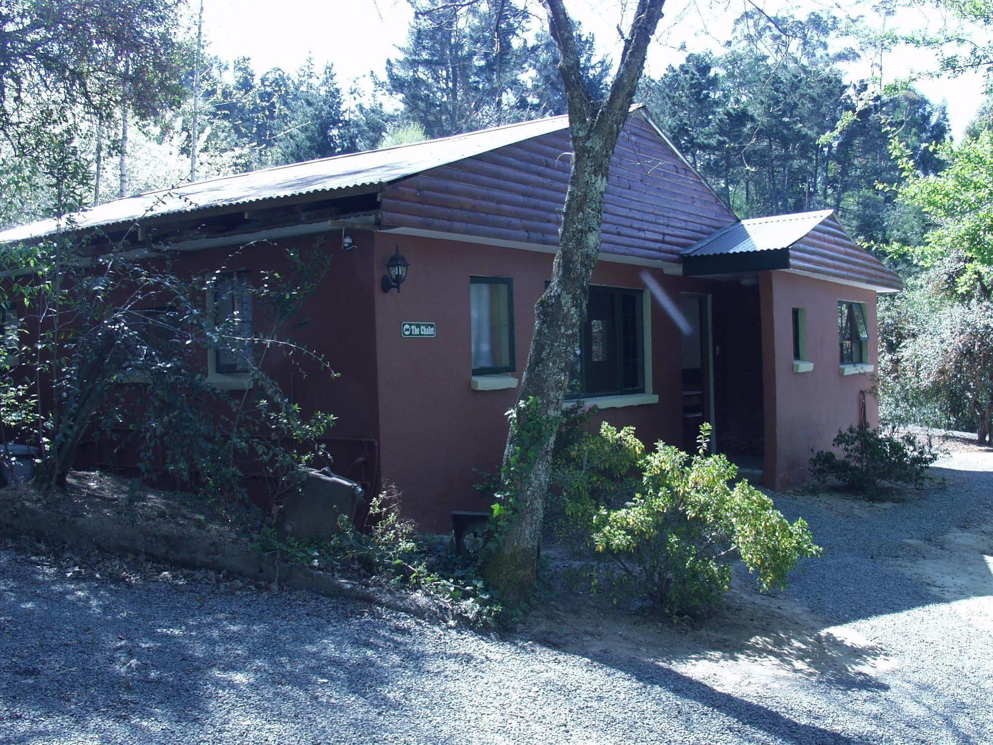 Willa Maple Grove Hogsback Zewnętrze zdjęcie