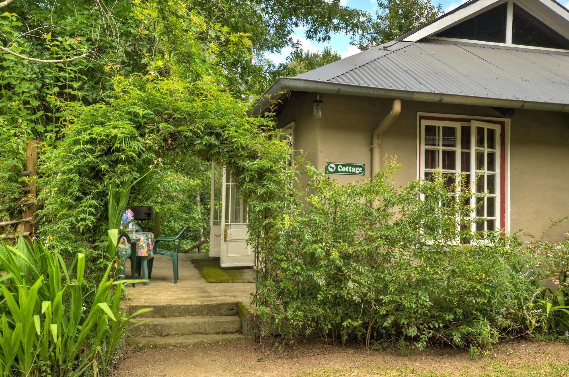 Willa Maple Grove Hogsback Zewnętrze zdjęcie
