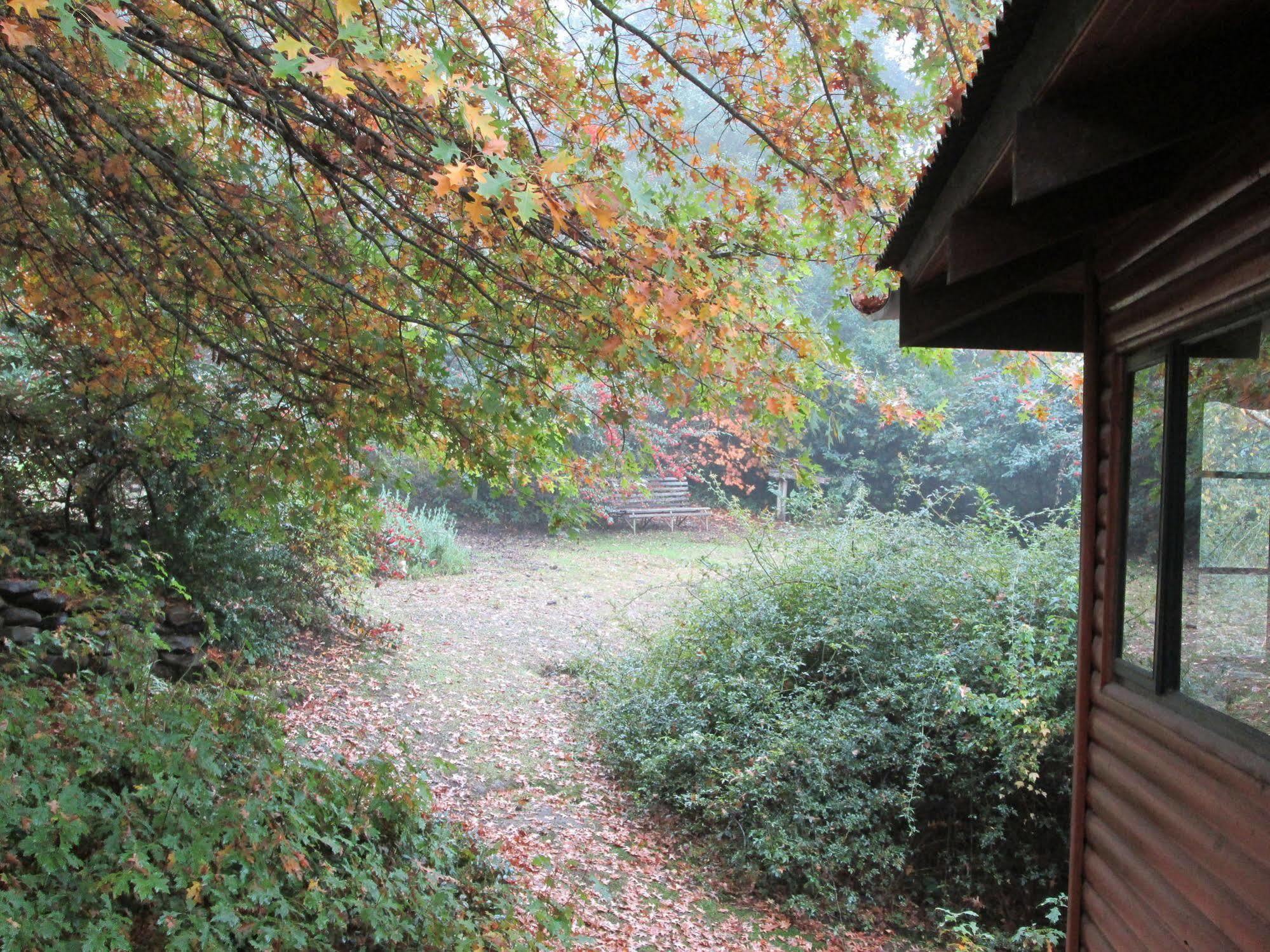 Willa Maple Grove Hogsback Zewnętrze zdjęcie