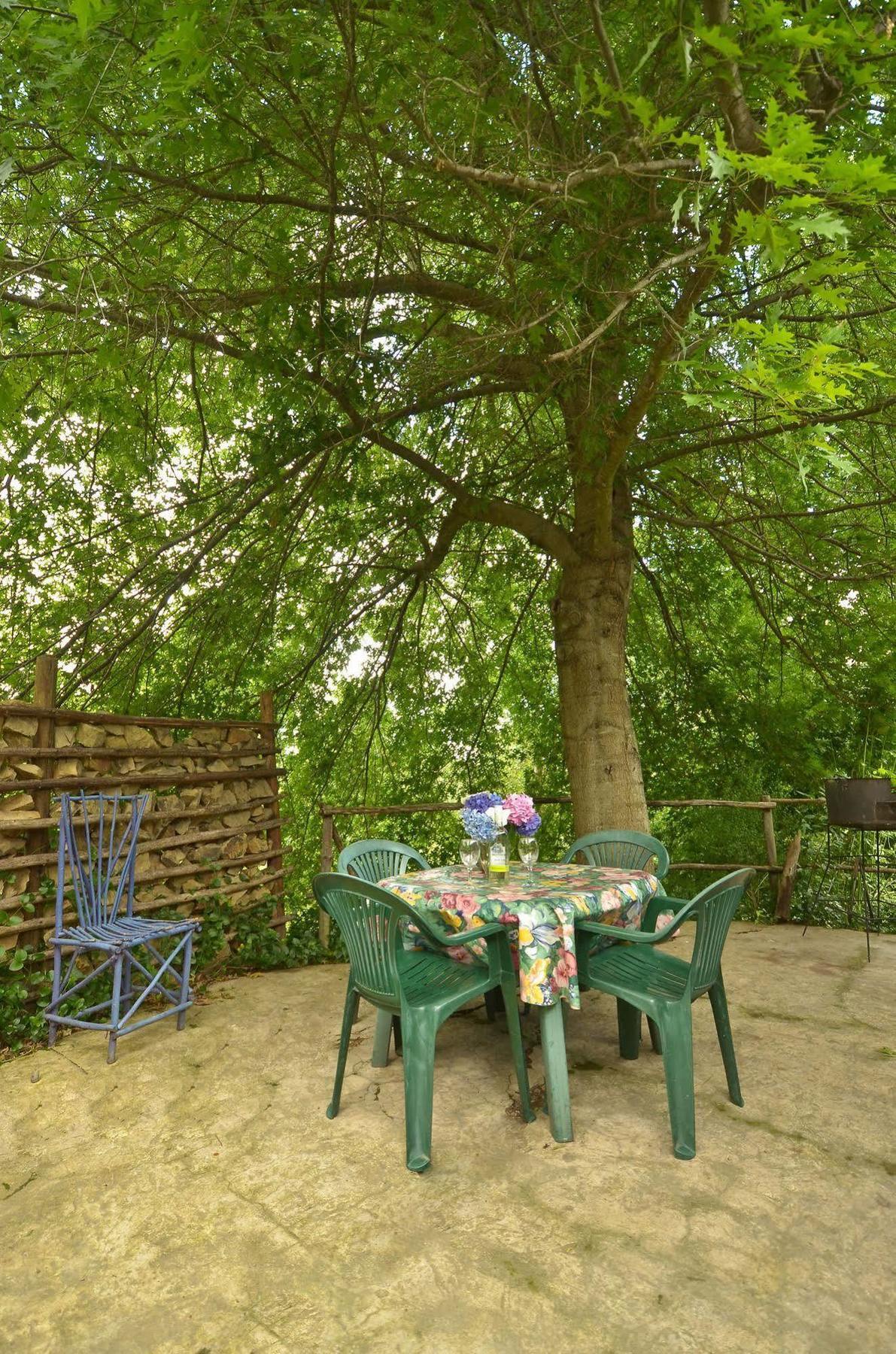Willa Maple Grove Hogsback Zewnętrze zdjęcie
