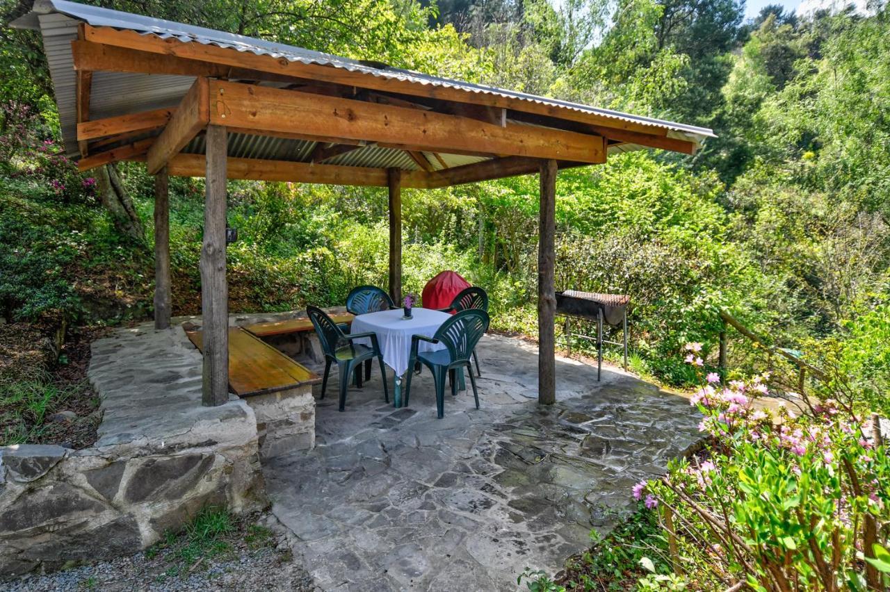 Willa Maple Grove Hogsback Zewnętrze zdjęcie