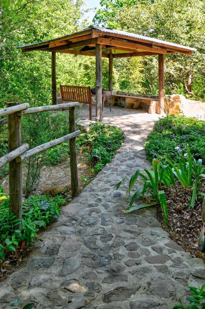 Willa Maple Grove Hogsback Zewnętrze zdjęcie