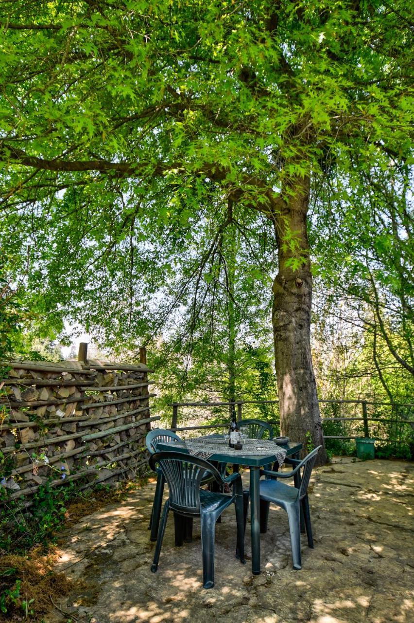 Willa Maple Grove Hogsback Zewnętrze zdjęcie
