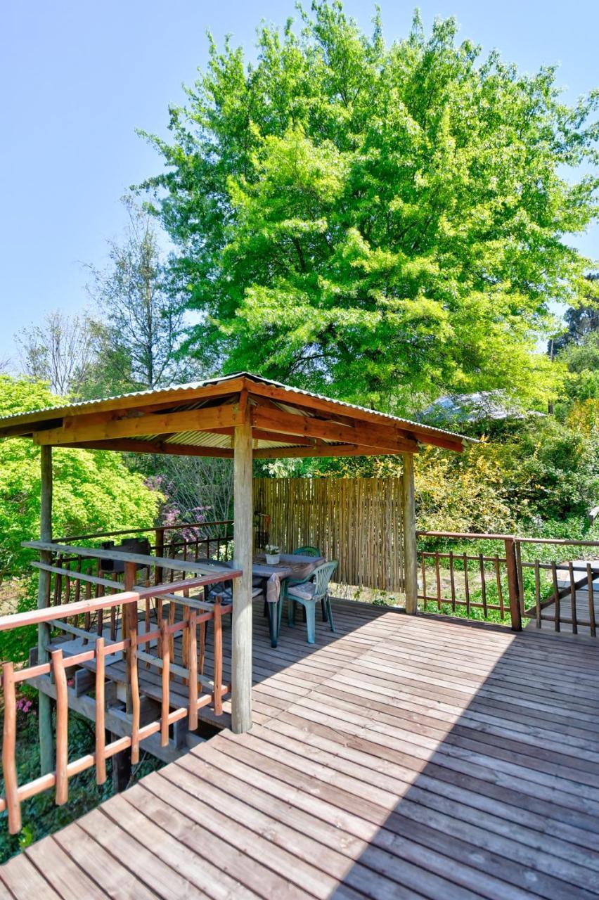 Willa Maple Grove Hogsback Zewnętrze zdjęcie